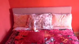 Evdokia House - Áno Pavliána