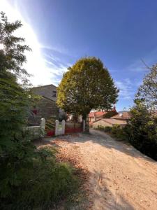 Maisons de vacances A Funtanella, maison de caractere situe entre montagne et mer : photos des chambres