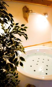 Besondere Ferienwohnung Spirit auf idyllischem Reiterhof nahe Burg Eltz