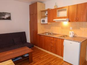 Studio Horní Rokytnice-1 by Interhome