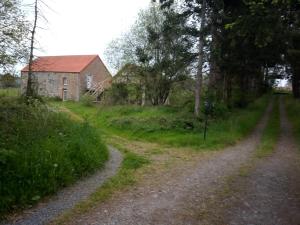 B&B / Chambres d'hotes Le Chevalier des Marettes : photos des chambres