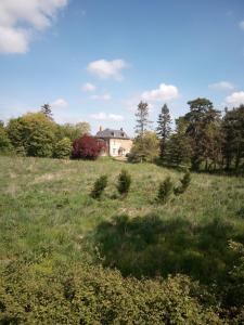 B&B / Chambres d'hotes Le Chevalier des Marettes : photos des chambres