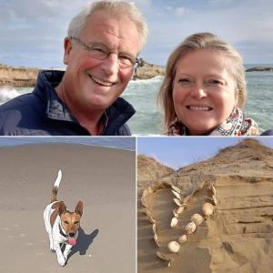 Chambres dHôtes "Les Pins"