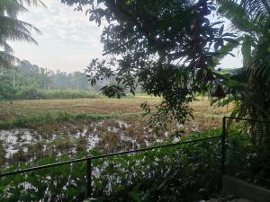 Ceylon Ramble Villa