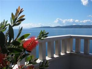 Apartment in MediCi with sea view, balcony, air conditioning, W-LAN 907-1