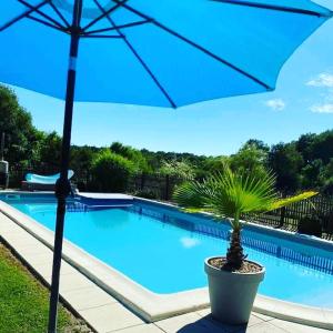 B&B / Chambres d'hotes B&B Buddleja : photos des chambres