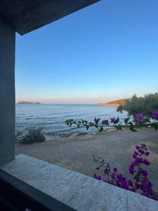 Maisons de vacances Maison de charme au bout du CAP CORSE : photos des chambres