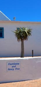 Foot-loose & Fancy Free