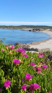 Julian's house Portopollo img25