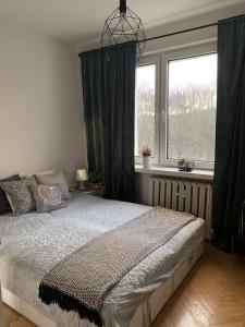 Apartament 23