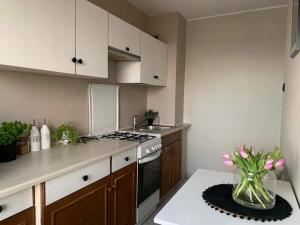 Apartament 23