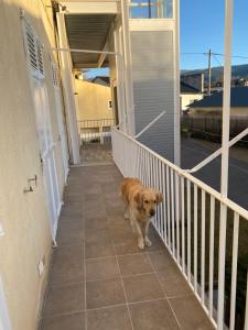Appartements Chez Helene 3 etoiles, adapte disabled PMR,pour 4 personnes chiens bienvenus-pet friendly : photos des chambres