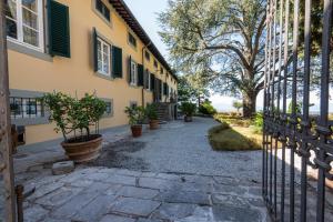 Villa Leone by Mmega