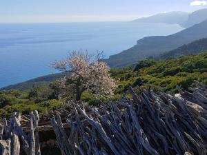AFFITTACAMERE DORGALI B&B da ZIETTO img80
