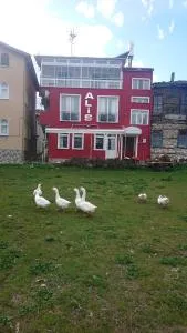 Ali's Pension - Deper