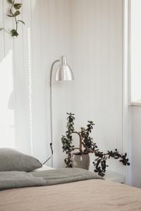 Rural Carniola fairytale