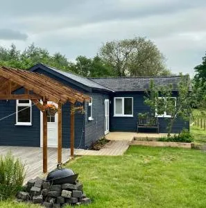 The Panthouse Lodge - 费尔顿