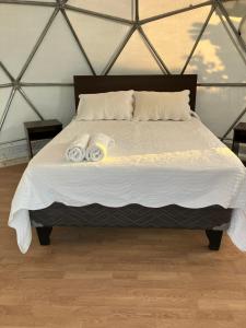 Glamping Viñas de Elqui