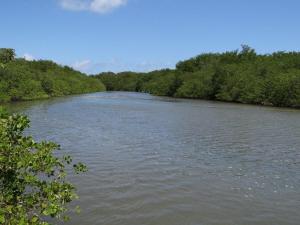 Casa Xiê com piscina, churrasqueira e jardim
