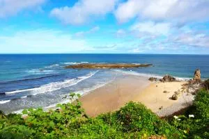 El Jilguero de Pechon - 普雷列索