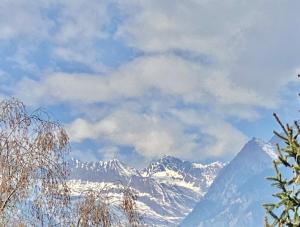 Appartamento Pino a Merano centro con box