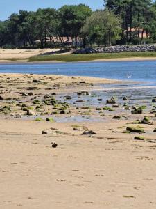Appart tout à portée de tongs!