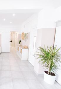 Shelter next to the beach