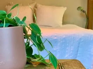 Vakantiewoning Guesthouse MOMO - 于尔蒙德