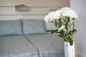 Paradise Guest Apartment - Bussmanzi