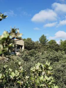 Maisons de vacances LE CABANON 2.42 : photos des chambres