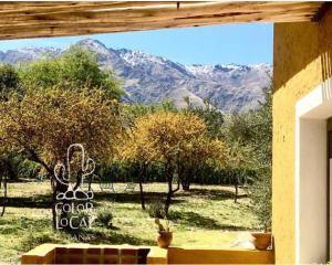 Color Local Cabañas