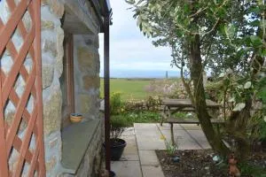 Distant Lights - Lower Boscaswell