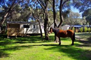 Maisons de vacances Mobile home 6/7 places climatise et ombrage : photos des chambres