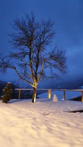 Appartements Alpamayo, appartement cosy au coeur des Aravis : photos des chambres