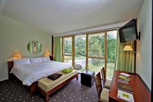 Hotels Logis des Lacs d'Halco : Chambre Double Classique