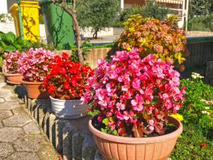 Apartments with a parking space Rabac, Labin - 20746