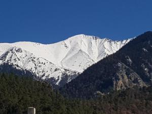 Appartements Charmant T2 terrasse vue Canigou : Appartement 1 Chambre