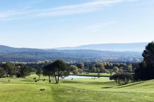 Appartements Sous le soleil de Provence : photos des chambres