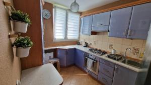 Apartament SPOKO-LOKO