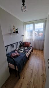 Apartament SPOKO-LOKO