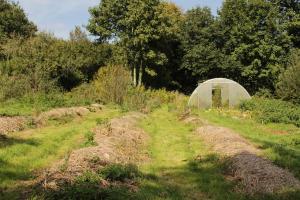 Chalet cosy en lisière de forêt