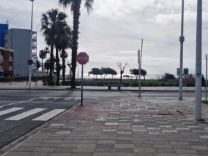 Pareado Mediterrania