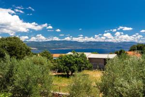 Apartment Brigitte with balcony & sea view 
