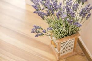 Apartments & Rooms Milcetic D