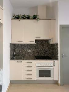 SF Apartamento céntrico con terraza