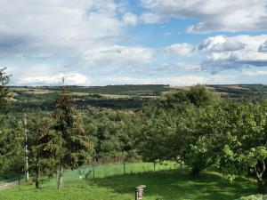 Erdőszélén Házikó Vendégház