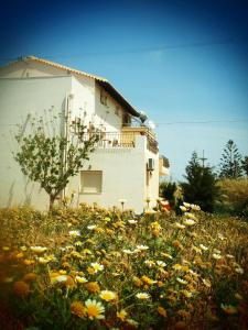 Casa Evriali Apartments Heraklio Greece