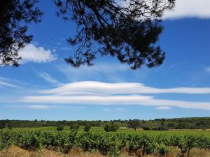 Maisons de vacances Holiday Home Les Jardins de la Clape by Interhome : photos des chambres