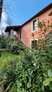 Rose Cottage Tuscany