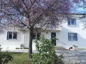 Maison Lumineuse entre Toulouse et Albi - Giroussens